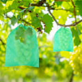 Miniatyrbillede 2 af 5: 100 stk. Stof Vækstposer Drue Netposer Frugtbeskyttelsesnetposer Barriere Frugtposer Frugtplantepotter Grøn 20X30CM Green 20X30CM