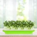 Miniatyrbilde 4 av 4: 2 stk Premium Barnehagebrett Hydroponisk Spirebrett Hage Plast Barnehagebrett