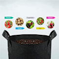 Miniatyrbillede 2 af 5: 6 stk. (10 gallons) Multifunktionelle planteposer i nonwoven-stof til frugt, blomster, urter, sukkulenter og bonsai-planter