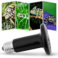 Miniatyrbillede 4 af 5: 75w/100w/150w Varmelampe/pære/lys til krybdyr i keramik med infrarød stråling til krybdyr, firben, padder, skildpadder (valgfrit) (100w)