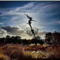 Miniatyrbillede 2 af 2: Dansende Fe Dandelion Statue Ornament StakesDandelion A Dandelion A