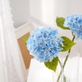 Miniatyrbilde 1 av 5: Real Touch Silke Hortensia Blomster, 2 Store Lange Stilk Kunstige Blomster for Blomsteroppsatser (Himmelsblå)