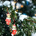 Miniatyrbilde 2 av 5: Julepynt i tre - Snømann, Julenissen, Elg, Bjørn, Hengepynt til Jul (4 stk, Rød)