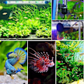 Miniatyrbillede 3 af 5: (39 cm) Akvariebelysning til nedsænkning, undervandslys til fisketank, LED-akvariebelysning med timer, automatisk tænd/sluk og justerbar lysdæmper