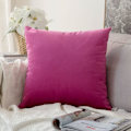 Miniatyrbild 3 av 5: Set med 2 Dekorativa Sammetskuddfodral Soffa Kuddfodral Super Mjukt Mjuk Dekoration Hem Vardagsrum Sovrum För Soffa 2-pack 30x30cm Lila