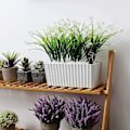 Miniatyrbilde 2 av 5: Selvvannende Hvit Plast Rektangulær Blomsterkasse Sett Med 2, Potte Med Vannreserve Og Vannnivåindikator Potte Med Vanningssystem For Enkelt