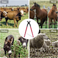 Pikkukuva 5 / 5: Hevosenkarsintavälineet, sopivat hevosille, lampaille, vuohiille ja alpakoille