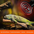 Miniatyrbillede 4 af 5: 150W Infrarød Lamper Keramisk Reptil Og Amfibie Opvarmnings Pære, Reptil Lampe Til Amfibie, Slange, Fugl, Skildpadde, Kat, Hund - (220-240V, E27 Gevind)