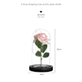 Miniatyrbillede 4 af 4: Evighed i glas LED-lys rose Valentinsdag send kæreste atmosfære arrangement lampe skrivebord placeret lys ornamenter