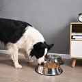 Miniatyrbillede 4 af 4: 2 Pakker Rustfrit Stål Hunde Skål med Anti-Skrid Sikker Gummi Bund til Lille/Mellem/Stor Kæledyr, Perfekt Skål, Kæledyrs Foder Skål og Vand Skål