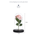 Miniatyrbillede 4 af 4: Evighed i glas LED-lys rose Valentinsdag send kæreste atmosfære arrangement lampe skrivebord placeret lys ornamenter