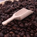 Miniatyrbilde 4 av 4: 20 stk Små Saltskovler Flat Handtak Scoop Beech Teskje Melkepulver Scoops 15 stk 2.8 * 8 cm 15pcs 2.8*8cm