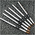 Miniatyrbild 3 av 4: Professionell Akryl Nagelkonst Pensel Ritpenna Avtagbart Lock Set (2 Set Om 12st, Silver)