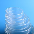 Miniatyrbillede 4 af 5: 10 stk. Sterile Glas Petriskåle Sæt Høj Borosilikat Lab Petriskåle med Låg Klar Vævskulturplade