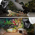 Miniatyrbillede 3 af 5: Mini Infrarød Keramisk Varmestråler Pet Lampe Reptil Lys Pære 100w