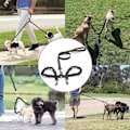 Miniatyrbillede 4 af 5: Koppel til 2 hunde, sammenfiltringsfrit dobbeltkoppel til hundetræning 360° roterbar justerbar reflekterende længde dobbelt line til to_RY