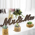 Miniatyrbild 5 av 5: Träväxthållare i trä Träväxthållare 3 Träväxthållare Terrariumhållare för suckulenter Tealight-hållare