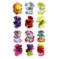 Miniatyrbilde 1 av 2: 12 stk Hawaii Hibiscus Blomster Hårklipp Blomster Barrette Hår Hårtilbehør For Kvinner Jenter