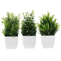 Miniatyrbilde 3 av 3: 3 stk Små Kunstige Planter Mini Kunstige Planter Med Planter Hjemmekontor Kunstig Potteplante Blandet Stil Grønn 16x7x7cm Green 16x7x7cm