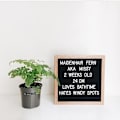 Miniatyrbilde 5 av 5: 10\"x10\" Skiftbare Filtbokstavtavler med Eikevedramme og Mønstre, for Meldinger, menyer, Planlegging