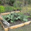 Miniatyrbilde 5 av 5: Ugressfjerner med trehåndtak, multifunksjonell i rustfritt stål, hageredskap for måling, spade, luking, omplanting, rustfritt stål, trehåndtak, plen
