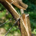 Miniatyrbilde 4 av 5: Kjede-sag lomme håndsag med håndtak stål blad for overlevelsesutstyr