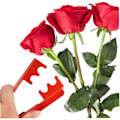 Miniatyrbilde 4 av 5: 1 stk. Rosa Tornstripper, Metall Tornstripping Rosa Blad Fjerning, Rosa Tang Hageverktøy Med Dropp Tilbaketrekking