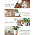 Miniatyrbild 3 av 4: Droppbevattningssystem (10 stycken) - Sond för självvattnande inomhusväxter, blommor och bonsai - Enhet för hem, automatisk och vetenskaplig bevattning