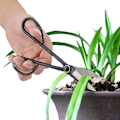 Miniatyrbilde 3 av 5: Beskjæringssaks Klipper, Hagearbeid Plante Bladtrimmer Lopper Grenkutter Håndverktøy (1 stk)