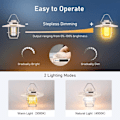 Miniatyrbild 3 av 5: RYI)Beige Laddningsbar Campinglampa, Retro USB-C Laddningsbar LED