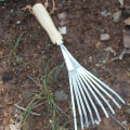 Miniatyrbilde 4 av 4: Liten Metall Rake, Rake Med Trehåndtak, Løvrake, Plenrake For Hage, Hagerake, Håndrake, Liten
