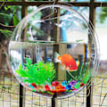 Miniatyrbillede 2 af 3: 19,5 cm Glas Akvarium Væghængt Fiskeskål Vægbobbel Fiskekum Fiskeplante Akvarium TilbehørM M