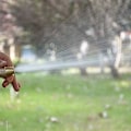Miniatyrbillede 3 af 5: Jardin Pistol Vandslange Dyse Multipurpose Vask Bil