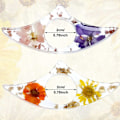 Miniatyrbillede 2 af 4: 2 stk. Tørret Blomst Resin Tommelfinger H- Resin Hs W Oplukker S