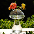 Miniatyrbild 3 av 5: Svampformad Glasvas Söt Transparent Stor Bords Hydroponisk Växtvas för Hemmakontor