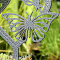 Miniatyrbillede 5 af 5: Hjerteformet Plade Ornament Metal Pæl Ord Kort Dine Vinger Var, Men Vores Hjerter Var Ikke Til Garde