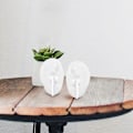Miniatyrbild 2 av 4: 1 Par Öronform Simulationsform Kreativ Undervisningsmodell för Öronrengöring