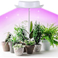 Miniatyrbillede 2 af 5: Vækstlys til indendørs planter, 3 tilstande 360 LED plantevækstlys med timer, 10 dæmpbare niveauer, Au