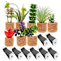 Pikkukuva 1 / 4: 1 Set Miniatyyri Mehevä Bonsai Jääkaappimagneetti Mehevä Istutusruukku Magneetti Jääkaapin Koriste