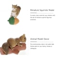 Pikkukuva 4 / 4: 4 kpl Miniatyyri Orava Figuriinit Eläinmallit Maisema Puutarhakoriste