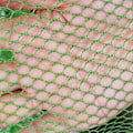 Miniatyrbillede 2 af 4: Sammenklappelige fiskenet rund fiskereje mesh bur foldbart fiskelandingsnet snøre fiskepose (gummibelagt mesh 150x30cm)