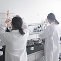 Miniatyrbillede 2 af 4: Rustfrit Stål Stativ Klemme Holder Elektroplettering Firkantet Krydsklemme Laboratorieudstyr