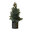 Flockad Konstgjord Julgran Skrivbord Cedar Julgran D