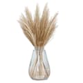Torkat Pampasgräs Phragmites, 32 st Vassgräs Pompas Blommor För Blomsterarrangemang, bröllop