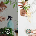 Miniatyrbillede 3 af 5: Skrivebordsplante Terrarium med Træfod 3 Pærevaser Glas Plantekasse til Planter Hjem Have Kontor D