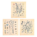 Miniatyrbild 1 av 5: 3 st Blomsterväv Gobeläng Väggbonad Vildblomma Växt Floral Gobeläng Diagram Liten Gobeläng För Sovrum