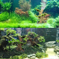 Miniatyrbillede 4 af 5: Akvarium Resin Træstamme Boble Dekorationer Akvarium Forfaldende Trærod Ornament Log Drivtømmer Be