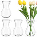 Miniatyrbild 2 av 3: 4 st Hyacintvas Liten Glasvas Mittpunkter Klar Hyacint Odling Knoppvas