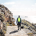 Pikkukuva 4 / 5: Hi Daypack, Ant kokoontaitettava reppu matkailuun, retkeilyyn ja ulkoiluun Green