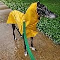 Miniatyrbild 5 av 5: Varm Hundjacka Vattentät Whippet-Kappa Vinter Justerbar Greyhound Kläder Vinter Varm Fleece Kläder Italiensk Greyhound Kläder black XL